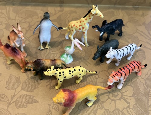 Safari zoo wild - safari, bundle