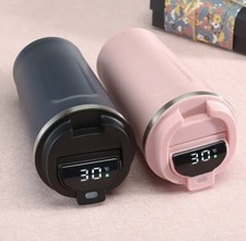 Stainless Steel Smart Thermo