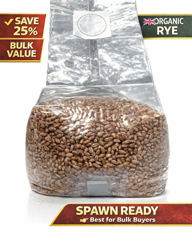Sterile rye grain spawn - spawn, bags