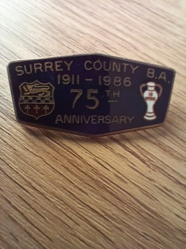 Vintage surrey county bowling - vintage,