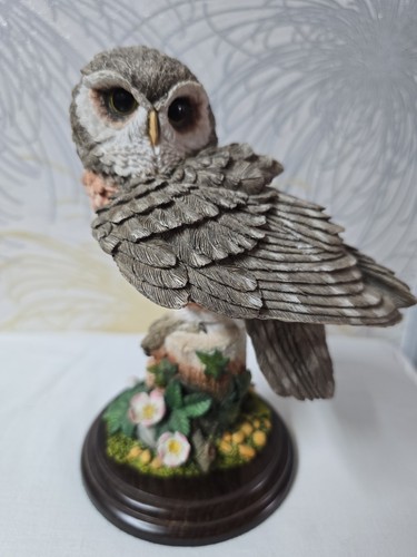 Vtg country artists tawny owl - tawny,