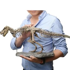 Large Diy Dinosaur Skeleton Toy T-rex Model Assembled Fossilized Dinosaur