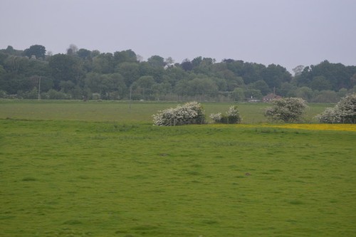 Photo 6x4 flat grazing land - photo,