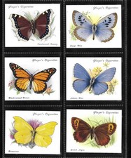 PLAYER'S SET:  BRITISH