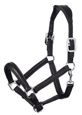 LeMieux Anatomic Equestrian