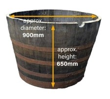 EXTRA LARGE-  Genuine Half