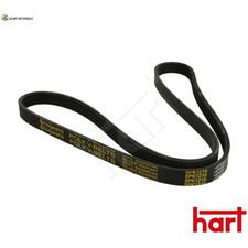 V-RIBBED BELT 334 302 FOR
