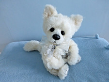 Gorgeous Uno the Arctic Fox