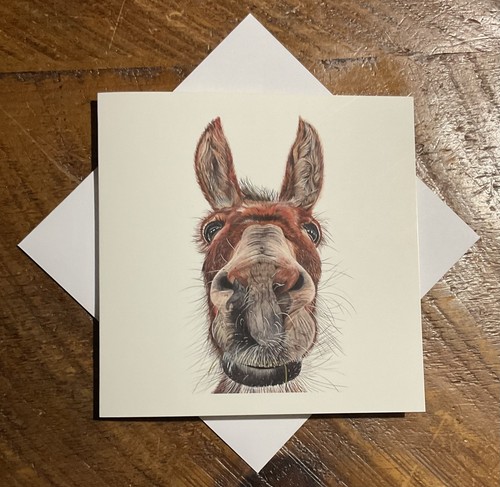 Donkey horse equestrian - horse, fine