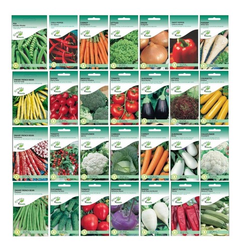 Vegetable seeds - seeds,