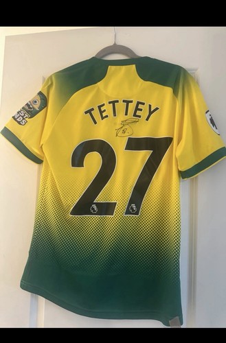 Tettey match worn - match, shirt
