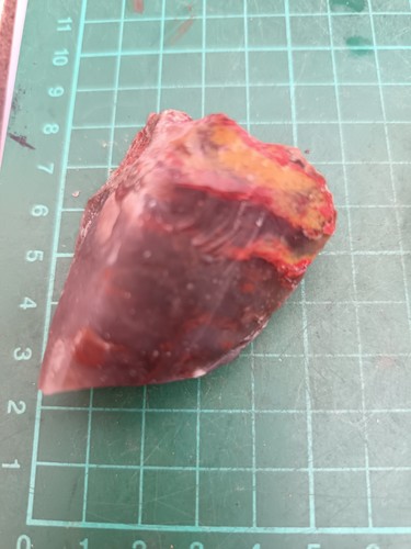Multi coloured petrified - petrified, wood