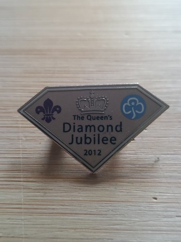 Scouting girlguiding metal - uk,