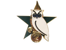 COMMANDO DU GENIE INSIGNIA