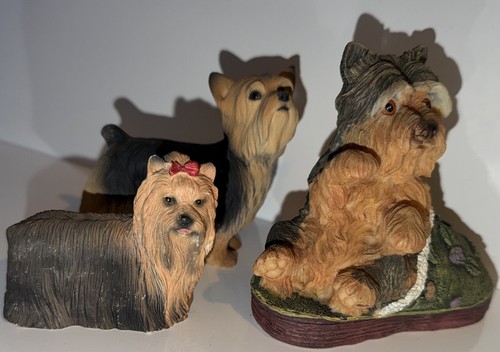 Yorkshire terrier dog - 3,