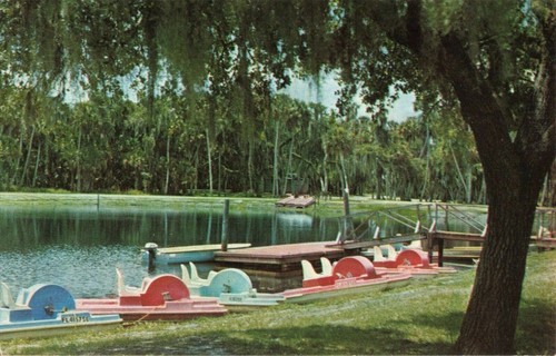 Postcard paddle boats myakka - ,