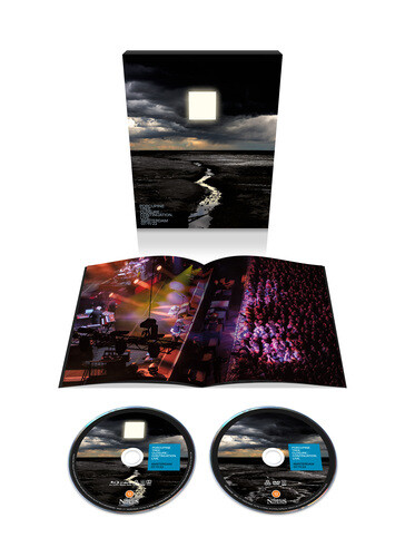Porcupine tree - porcupine,