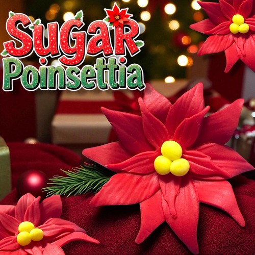 Sugar poinsettia cake topper - cake,