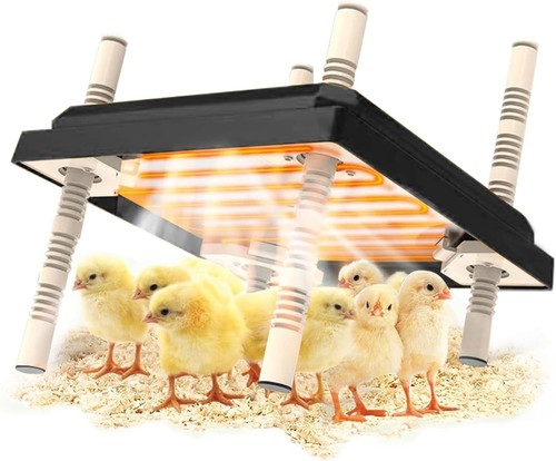 Chick brooder heating plate - brooder,