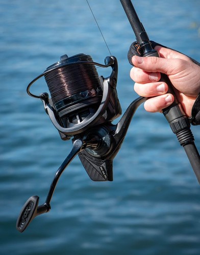 Fox eos 12k reel - fox,
