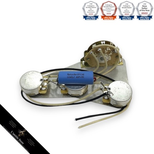 Fender strat typea assembly - fender,