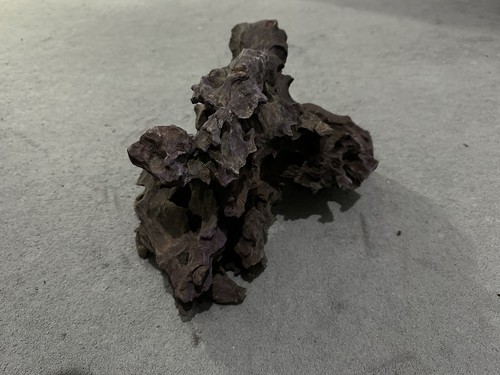 Large ancient root wood for - root,