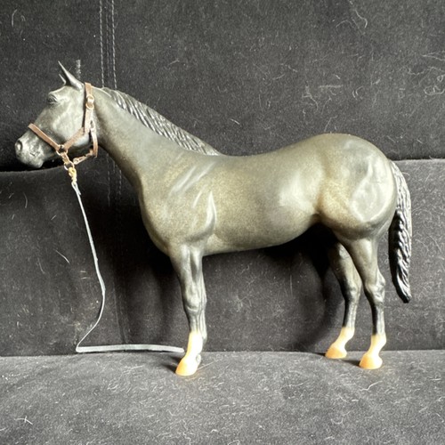 Blue roan american quarter - roan,