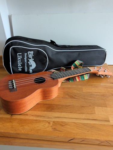 Everjoys stringed ukulele - everjoys,