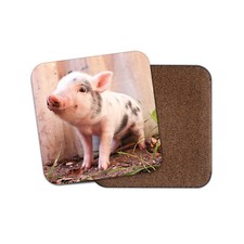 Cute Piglet Coaster - Micro