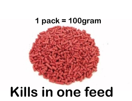 Rat mouse rodent poison - mouse, bait
