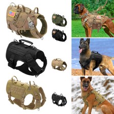 Military Tactical Dog Training