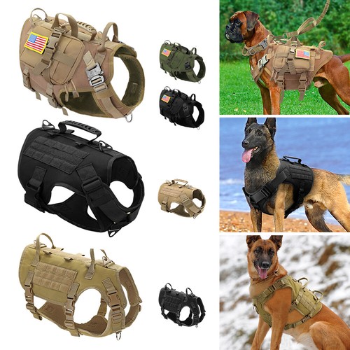 Military tactical dog training - military,