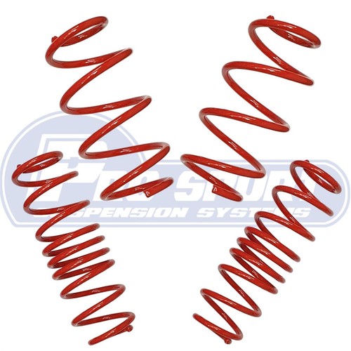 Pro sport lowering springs - sport,