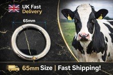 Stainless steel Bull nose ring