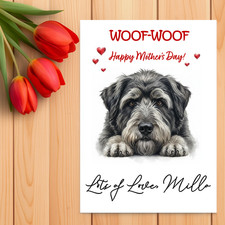 Bouvier des Flandres