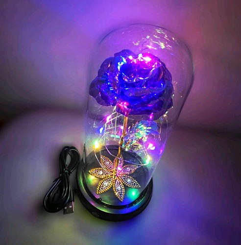 Galaxy rose led light - light, up