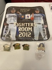 Hokkaido Nippon-Ham Fighters