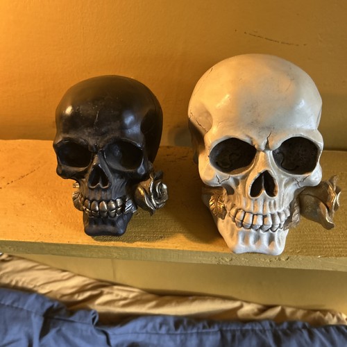 Pair resin skulls one - pair,