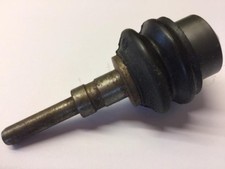 AUSTIN PRINCESS & AMBASSADOR