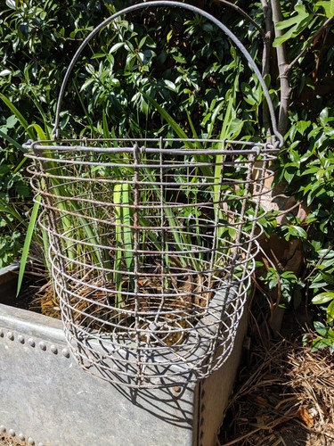 Vintage 1950s french - 1950s, wirework
