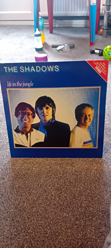 The shadows life jungle - the,