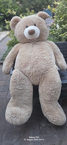 Large teddy bear - large,