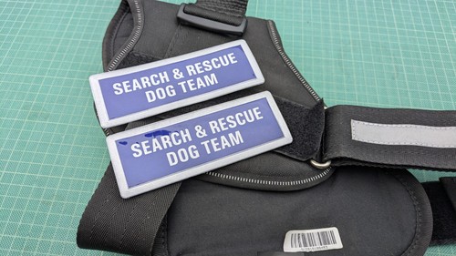 Search rescue dog - dog, x