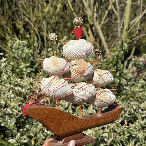 Vintage wood and sea shell - wood,