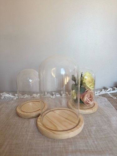 Glass dome cloche - dome,