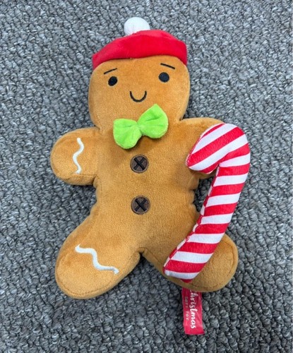 Gingerbread man festive kids