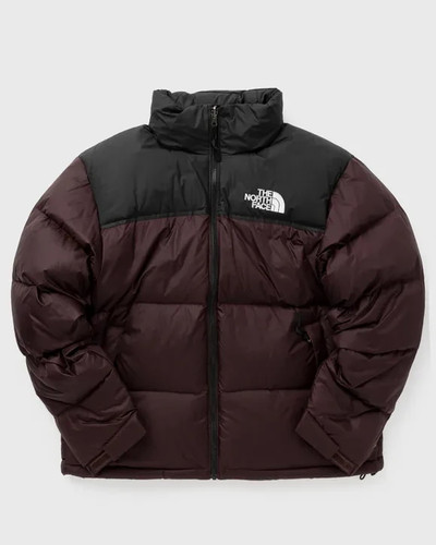 Large the north - north, face