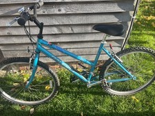 Raleigh Vixen Women's Mountain