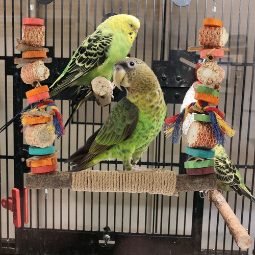 Reusable wooden bird stand rod - bird,