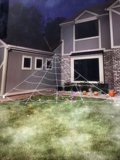 Large White Rope Garden Spider’s Web And Two Large Black Spiders